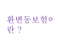 [국제보험론] 환변동보험-3