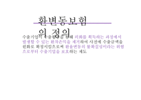 [국제보험론] 환변동보험-4
