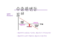 [국제보험론] 환변동보험-10