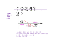 [국제보험론] 환변동보험-11