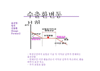 [국제보험론] 환변동보험-12