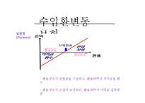 [국제보험론] 환변동보험-13