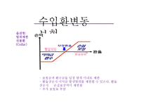 [국제보험론] 환변동보험-14