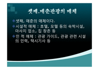 [관광경영] 매춘관광의 피해사례-8
