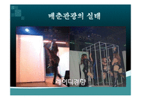 [관광경영] 매춘관광의 피해사례-15