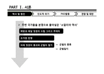 [국제기구론] 소말리아와 수단 다르푸르 분쟁-6