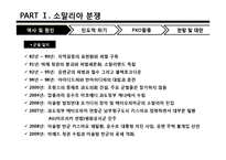 [국제기구론] 소말리아와 수단 다르푸르 분쟁-9