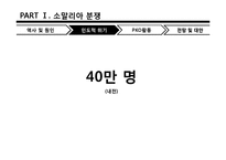 [국제기구론] 소말리아와 수단 다르푸르 분쟁-12
