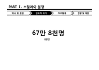 [국제기구론] 소말리아와 수단 다르푸르 분쟁-13