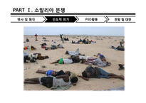 [국제기구론] 소말리아와 수단 다르푸르 분쟁-14