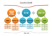 [마케팅 관리] 웅진 `리엔케이` 화장품 사업 진출 사례-8