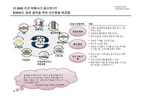 [경영학] 한국 관광활성화를 위한 여행상품 기획-7