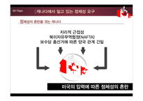 [국제기구론] 통합과 갈등-아프리카, 캐나다, 멕시코 사례-12