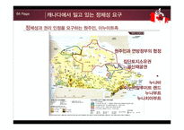 [국제기구론] 통합과 갈등-아프리카, 캐나다, 멕시코 사례-14