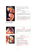 [정신건강론] 인간행동과 이상행동-태내기-2