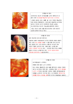 [정신건강론] 인간행동과 이상행동-태내기-3