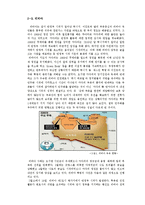 [아랍지역연구] 아랍민주화-8