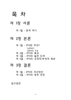 IPTV와 방송환경-IPTV가 사용자에게 미치는 영향-2