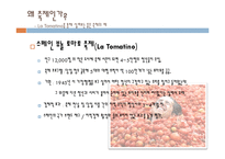 La Tomatino 축제 사례를 통한 한국축제의 발전방향-5