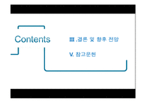[중국정치] 중국 인터넷 통제와 이용에 관한 연구-3