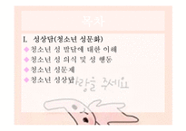 [청소년복지] 청소년 상담과 심리치료-성 삼담 과 대인 관계 상담-2