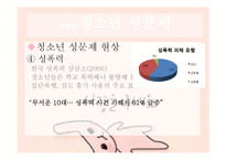 [청소년복지] 청소년 상담과 심리치료-성 삼담 과 대인 관계 상담-12