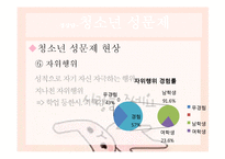 [청소년복지] 청소년 상담과 심리치료-성 삼담 과 대인 관계 상담-15