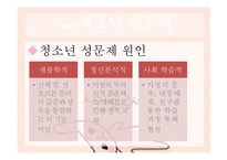 [청소년복지] 청소년 상담과 심리치료-성 삼담 과 대인 관계 상담-16