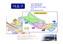 [지역사회복지] 마포구의 보건실태 조사-1