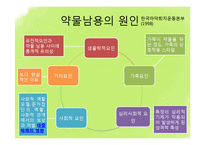[청소년복지] 청소년 상담과 심리치료-약물 관련 장애, 인터넷 중독 상담-10