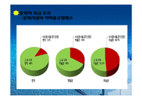 [도시행정론] 광주아시아 문화중심도시의 긍정적 효과-12