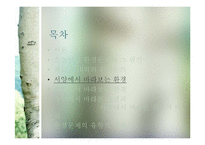 유학과 환경문제-유학사상의 환경관과 환경문제의 대안방안-19