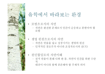 유학과 환경문제-유학사상의 환경관과 환경문제의 대안방안-20