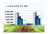 [가족복지론] 장애인 부모, 자녀 가족의 문제점과 서비스 현황-8