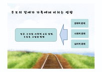 [가족복지론] 장애인 부모, 자녀 가족의 문제점과 서비스 현황-14
