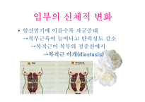 [지역사회 간호학] 임부의 의복관리-4