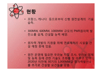 [중국사회] 중국 원자력의 경제성과 중국의 대체에너지-12