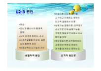 [특수교육] 자폐성 장애아 교육-17