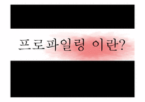 호신술-프로파일링, 프로파일러의 현재와 미래-2
