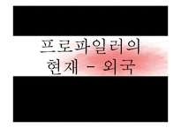 호신술-프로파일링, 프로파일러의 현재와 미래-19