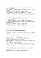 [인터넷방송][웹캐스팅]인터넷방송(웹캐스팅)의 정의,유형,역사,현황, 인터넷방송(웹캐스팅)의 기술,장비,문제점,활성화방안 분석-11