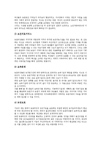 [사회복지][농촌복지]사회복지의 정의,발달, 사회복지의 기능, 농촌복지의 실태, 농촌복지의 여성복지,노인복지, 농촌복지의 과제 분석-13