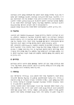 [유아 스트레스]유아 스트레스의 본질,원인, 유아 스트레스와 조기교육,성취압력, 유아 스트레스의 부모 역할,대처 방법 분석-8