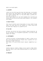 [인터넷방송][웹캐스팅]인터넷방송(웹캐스팅)의 의미,특징,형태, 인터넷방송(웹캐스팅)의 시스템,채널, 인터넷방송(웹캐스팅)의 장단점,쟁점-6