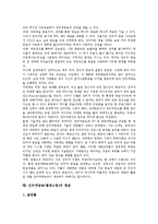 [인터넷방송][웹캐스팅]인터넷방송(웹캐스팅)의 의미,특징,형태, 인터넷방송(웹캐스팅)의 시스템,채널, 인터넷방송(웹캐스팅)의 장단점,쟁점-9