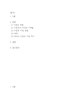미혼모에 대한 종합적인 고찰-2