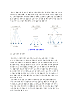 (한국기업의 소유경영문화) 기업의 소유와 경영, 재벌기업의 소유구조-5
