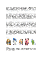 [경영전략] 뽀로로의 성공전략 분석-2
