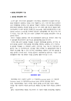 글로벌 경영전략의 기초(의미, 과제)-2
