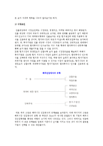 글로벌 시장진입 유형결정-3